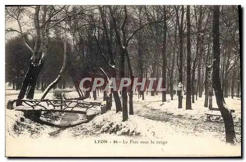 Ansichtskarte AK Lyon Le Parc sous la neige