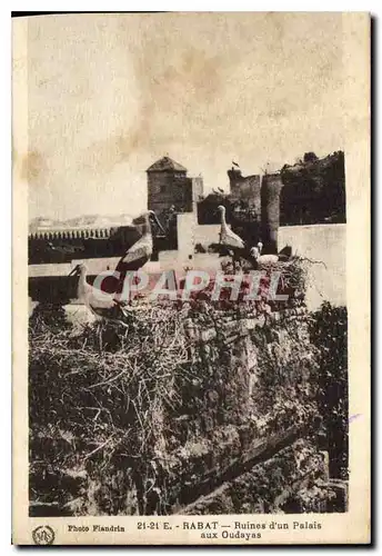 Cartes postales Rabat Ruines d'un Palais aux Oudayas