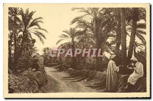 Cartes postales Dans l'Oasis