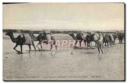 Cartes postales Paysages Sahariens Caravane de Transport traversant un Oued