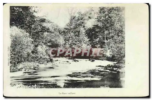 Cartes postales Le Gour saillant