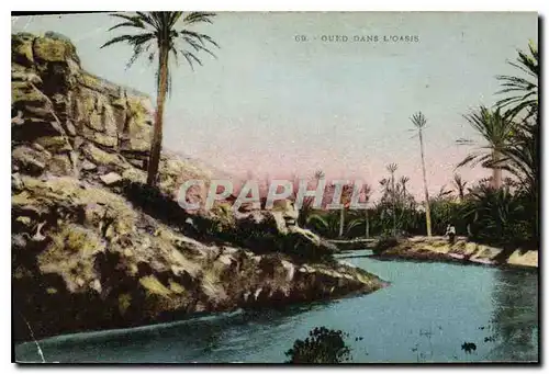 Cartes postales Oued Dans L'Oasis