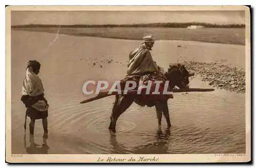 Ansichtskarte AK Le Retour du Marche Ane Mule