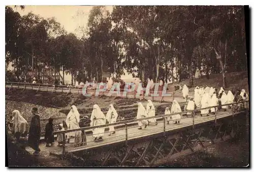 Cartes postales Mauresques