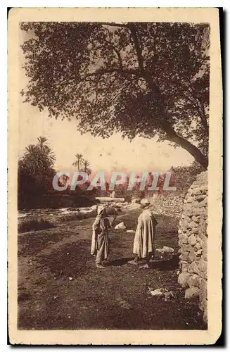 Cartes postales Joli Paysage du Sud