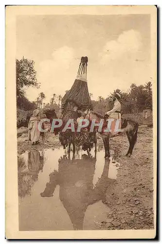 Cartes postales Bou Saada Bassoud a la Riviere Chameau Cheval
