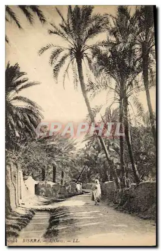 Cartes postales Biskra L'Oasis