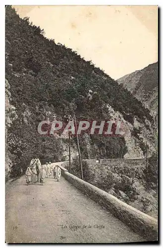 Cartes postales Les Gorges de la Chiffa