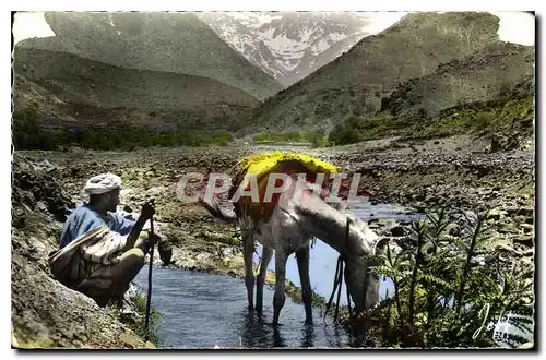 Ansichtskarte AK Maroc Pittoresque A mi chemin