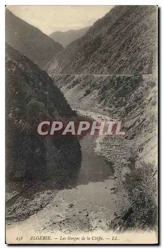 Cartes postales Algerie Les Gorges de la Chiffa