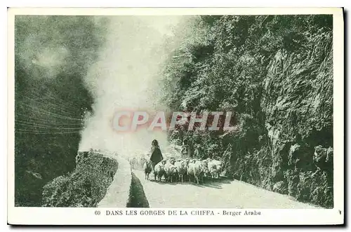 Ansichtskarte AK Dans les Gorges de la Chiffa Berger Arabe Moutons