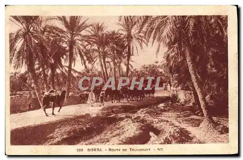 Cartes postales Biskra Route de Touccourt