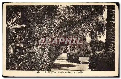 Cartes postales Biskra Jardin Landon Une Allee