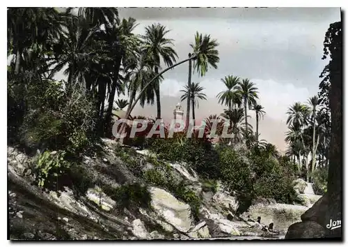 Cartes postales Bou Saada Cite du Bonheur Les Jardins