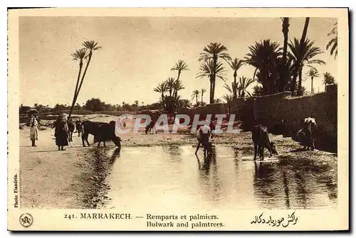 Cartes postales Marrakech Remparts et palmiers