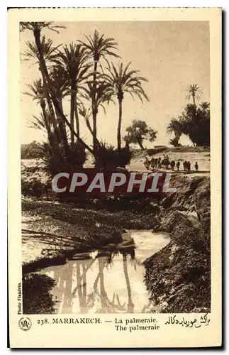 Cartes postales Marrakech Le palmerale