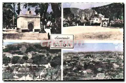 Cartes postales Souvenir de Blida
