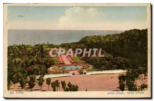 Cartes postales Alger Jardin d'Essal Jardin d'Hiver