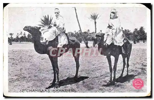 Cartes postales Chambaas Sahariens