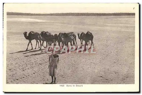 Ansichtskarte AK Dans le Desert Chameaux