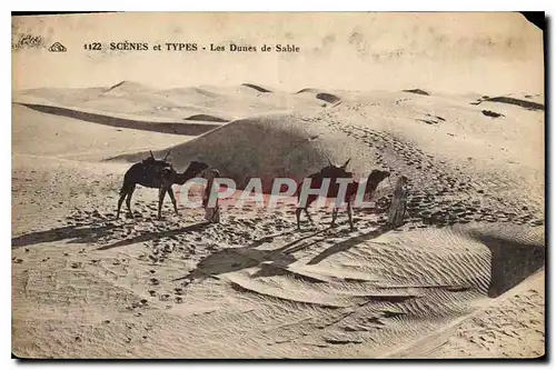 Cartes postales Scenes et Types Les Dunes de Sable Chameaux
