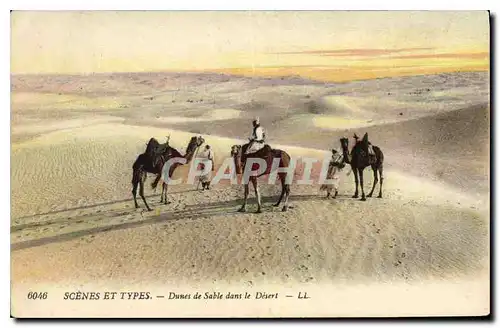 Ansichtskarte AK Scenes et Types Dunes de Sable dans le Desert
