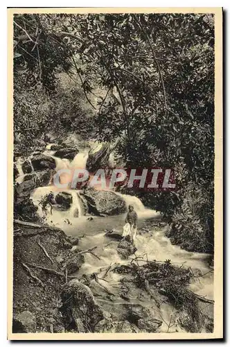 Ansichtskarte AK Environs de Blida Les bords de la Chiffa Le Ruisseau des Singes