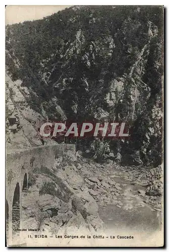 Cartes postales Blida Les Gorges de la Chiffa La Cascade