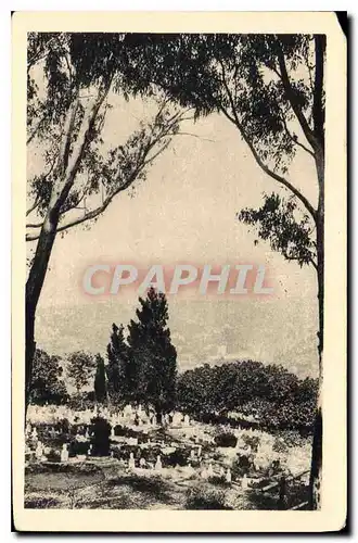 Cartes postales Alger Cimetiere indigene d'El Ketter