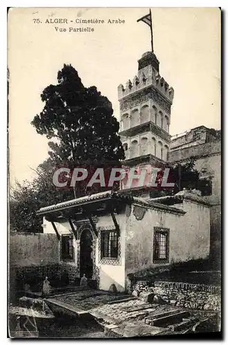 Cartes postales Alger Cimetiere Arabe Vue Partielle