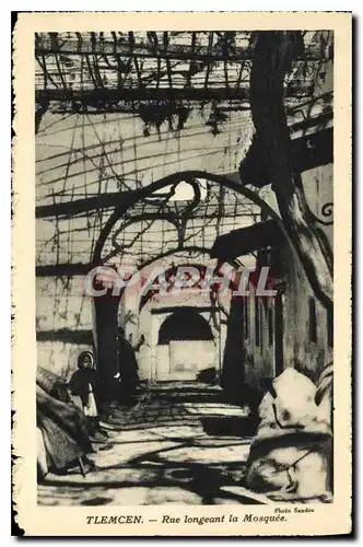 Cartes postales Tlemcen Rue longeant la Mosquee