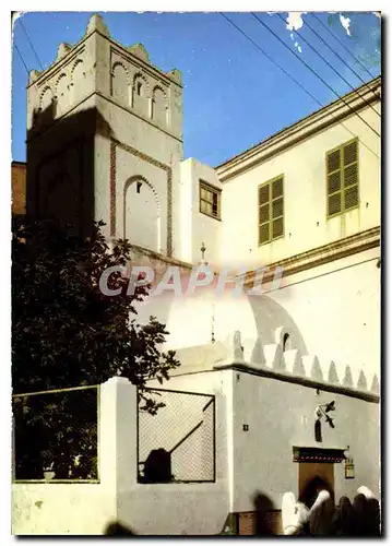 Cartes postales Oran La Mosquee