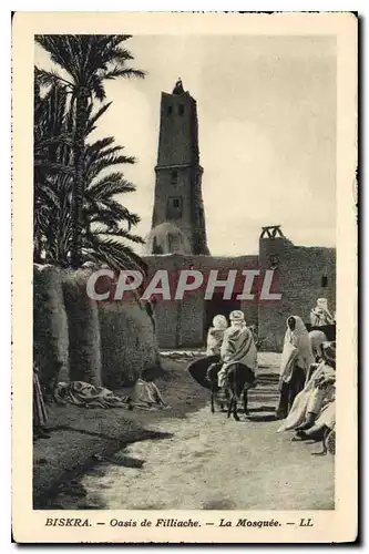Cartes postales Biskra Oasis de Filliache La Mosquee