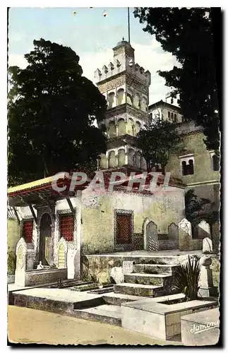 Cartes postales Alger El Djezair La Mosquee de Sidi Abderrhamane