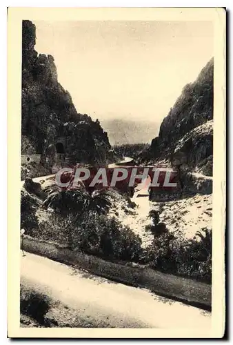 Cartes postales Biskra Les Gorges a contrejour