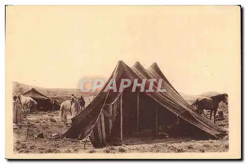 Cartes postales Bou Saada Un campement dans le Hodna