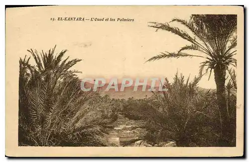 Cartes postales El Kantara L'Oued et les Palmiers