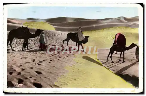 Cartes postales Collection Artistique L'Afrique Bassour dans les Dunes