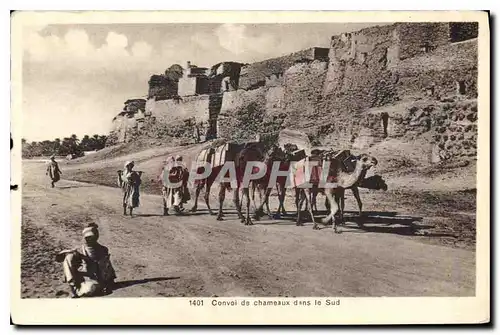 Cartes postales Convoi de chameaux dans le Sud