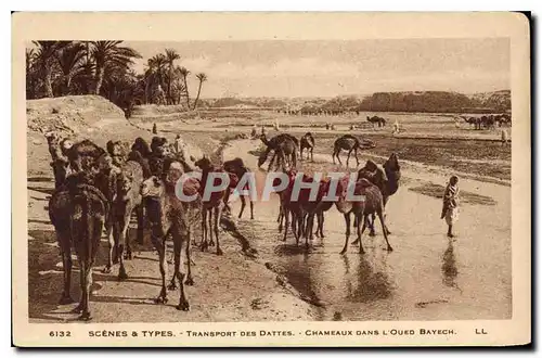 Cartes postales Scenes et Types Transport des Dattes Chameaux dans l'Oued Bayech