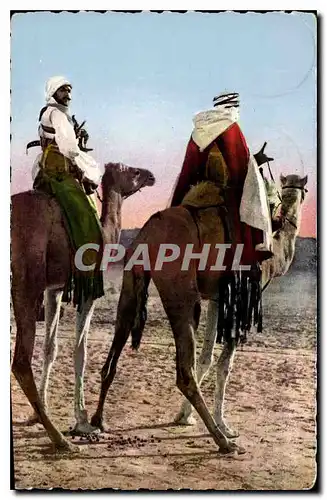 Ansichtskarte AK Scenes et Types d'Afrique du Nord Deux cavaliers du Sud