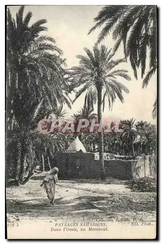 Cartes postales Paysages Sahariens Dans l'Oasis un Marabout