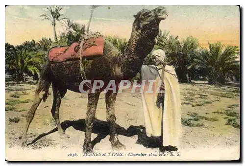 Cartes postales Scenes et Types Chamelier et sa bete