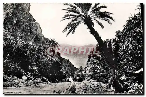 Cartes postales Biskra Gorges et Oued
