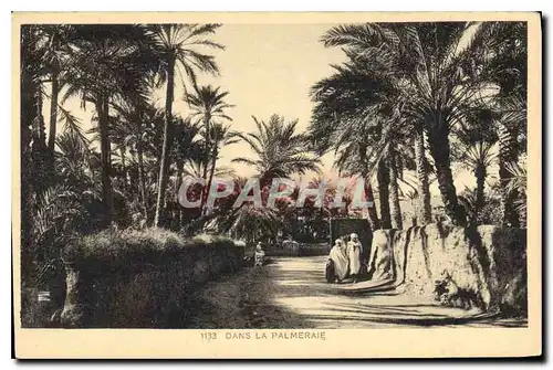 Cartes postales Dans la Palmeraie