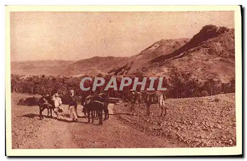 Cartes postales Aures Entre Djemora et Beni Souik