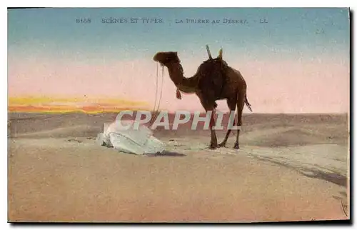 Cartes postales Scenes et Types La Prieure au Desert