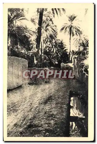 Cartes postales Dans le Vieux Biskra
