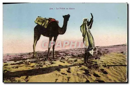 Cartes postales La Prieure au desert