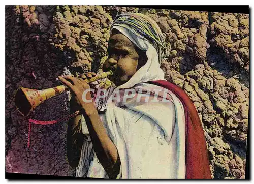 Cartes postales Scenes et Types Musicien Arabe